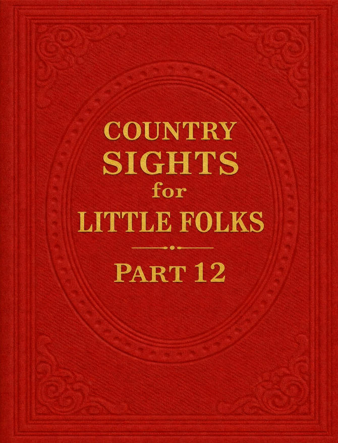 Country Sights for Little Folks – Part 12