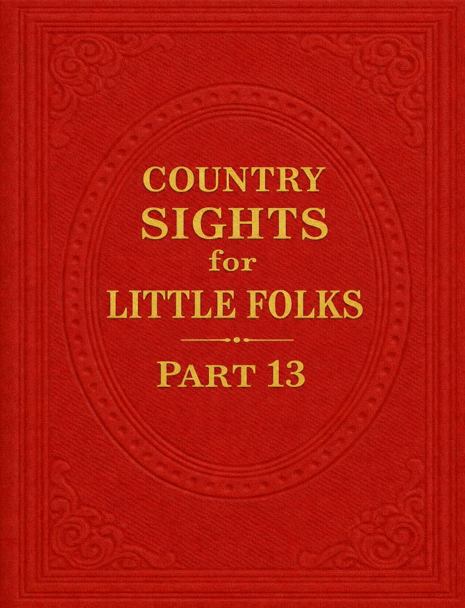 Country Sights for Little Folks – Part 13